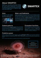 about smartex poster